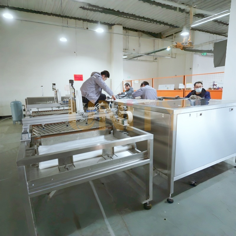 Fully Automatic Bag-in-Bag Inserting Dual Bags Inserter