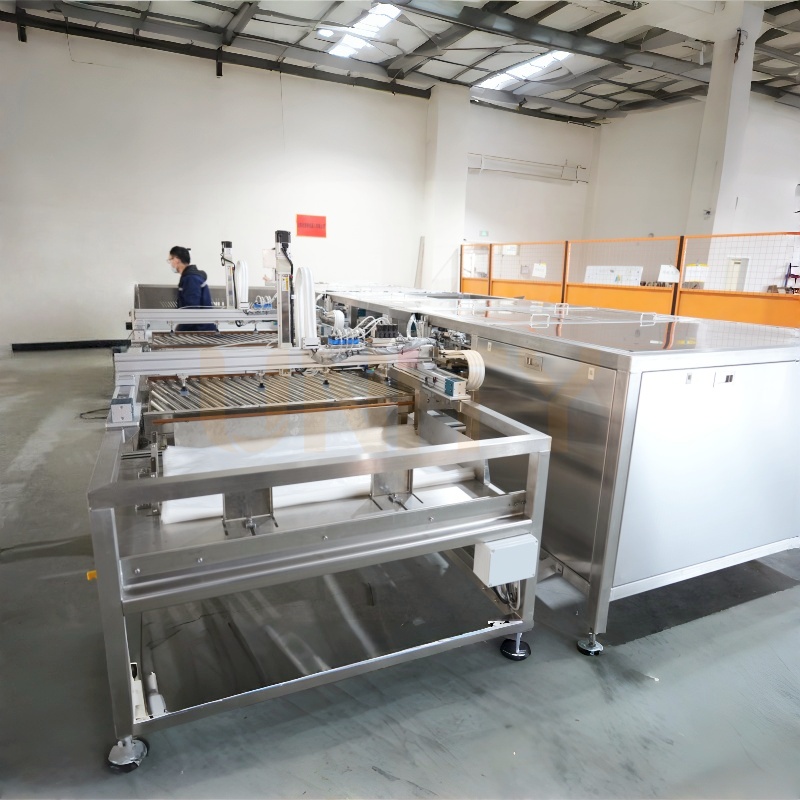 Fully Automatic Bag-in-Bag Inserting Dual Bags Inserter