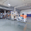 Complete Turnkey Packing Solutions from Box Erecting to Palletizing