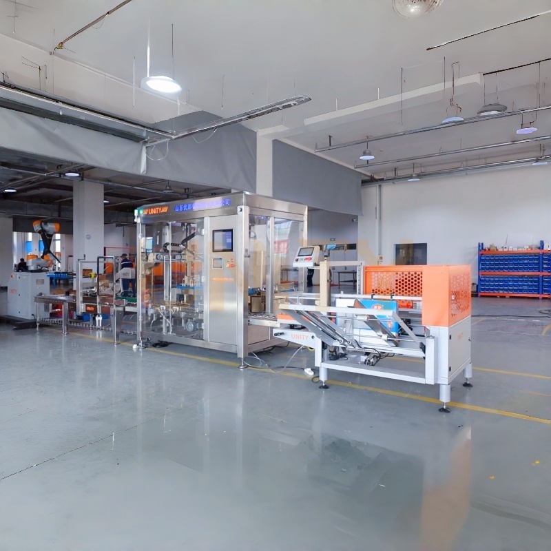 Complete Turnkey Packing Solutions from Box Erecting to Palletizing