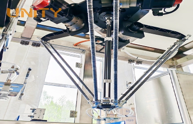 Strawberry Calyxes Remove Strawberry Calyxes Remove