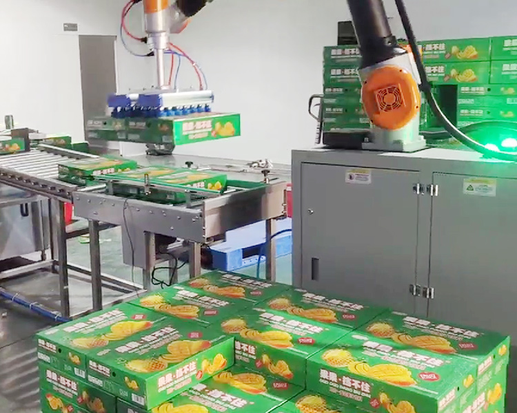 showcasing production facilities for packaging machinery and robot arms