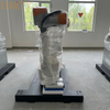 Factory Manufacture Robot Palletizer 20KG Cobot Robot Palletizer price for Russia Mexico Asia Europe