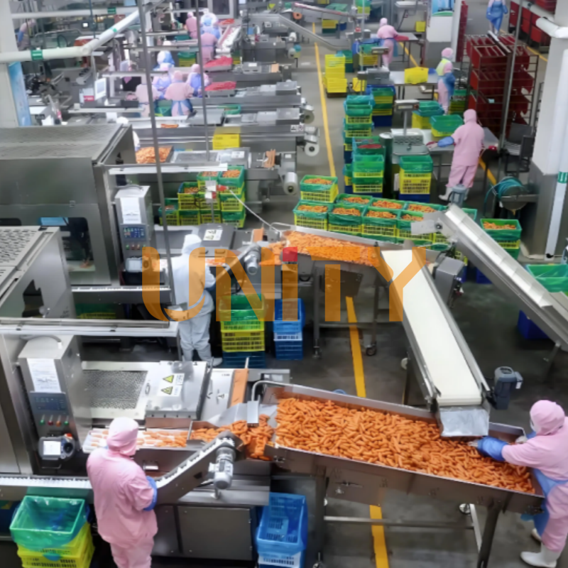 Sausage Bag Pasteurizer Tunnel Heating 95℃ Sterizing Food/Milk Pasteurizer