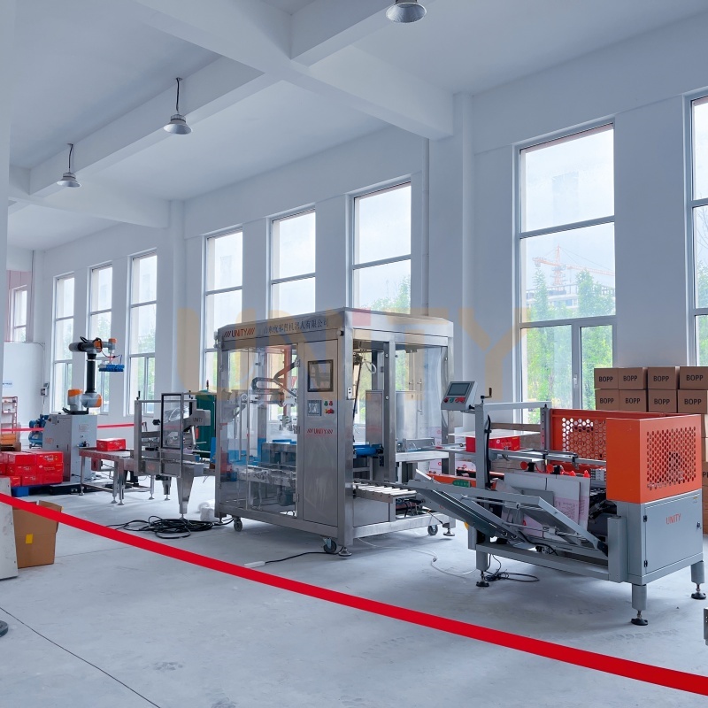 Box Erecting Packing Sealing Palletizing Automation Packing Line