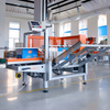 Complete Turnkey Packing Solutions from Box Erecting to Palletizing