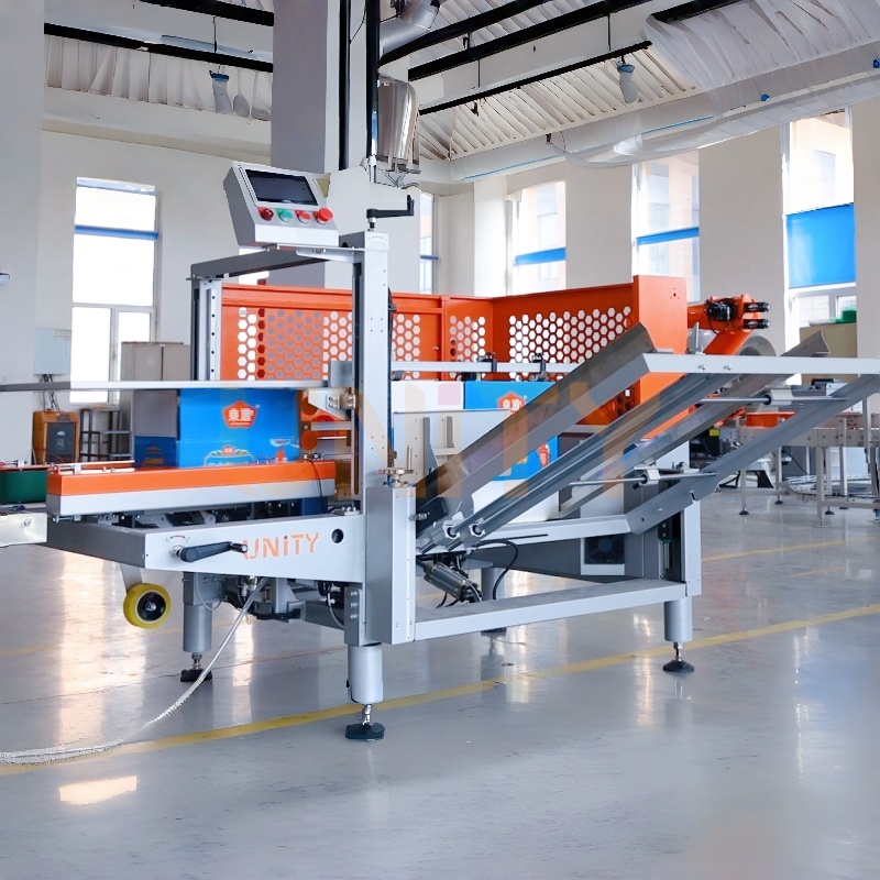 Complete Turnkey Packing Solutions from Box Erecting to Palletizing