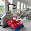 China Factory Customized Cobot Robot Palletizing 20KG Case Carton Packing Robot for Sale