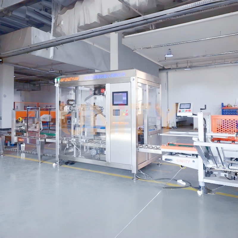 Complete Turnkey Packing Solutions from Box Erecting to Palletizing
