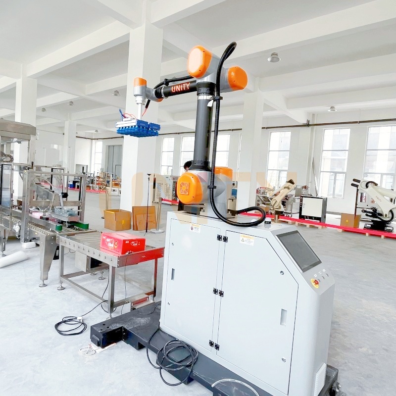 Factory Price 20KG Food Cobot Palletizer with 600mm Lifting
