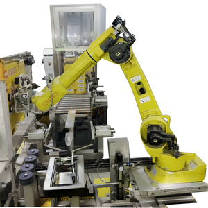 Unity Robotic Case Erector And Case Packer