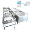 Fully Automatic Bag-in-Bag Inserting Dual Bags Inserter