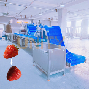 Fully Automated High Speed Strawberries Calyxes Removal Solution