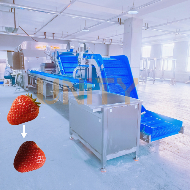 Fully Automated High Speed Strawberries Calyxes Removal Solution