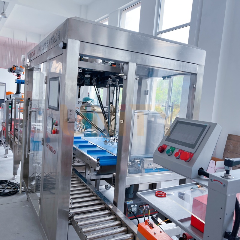 Box Erecting Packing Sealing Palletizing Automation Packing Line