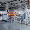 Complete Turnkey Packing Solutions from Box Erecting to Palletizing