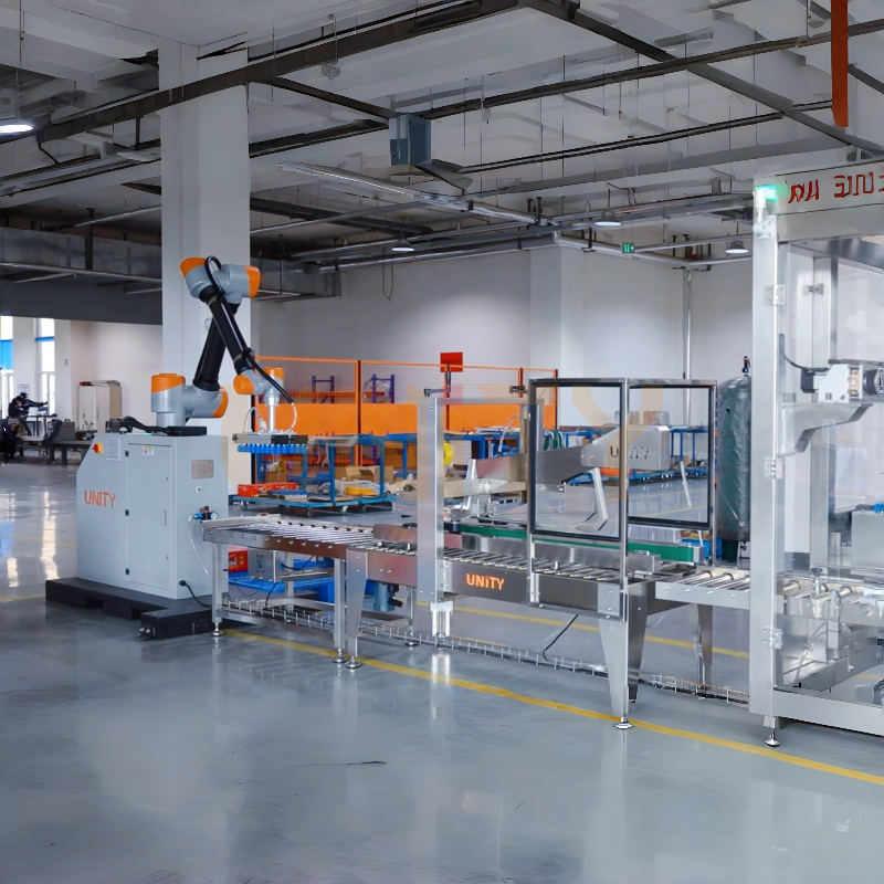 Complete Turnkey Packing Solutions from Box Erecting to Palletizing