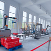 Box Erecting Packing Sealing Palletizing Automation Packing Line