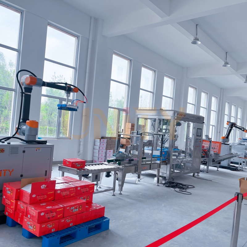 Box Erecting Packing Sealing Palletizing Automation Packing Line