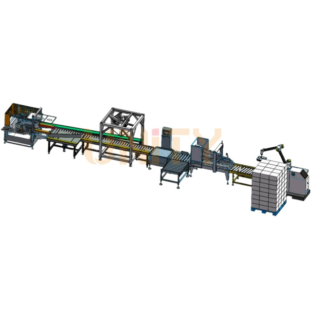 Complete Turnkey Packing Solutions from Box Erecting to Palletizing
