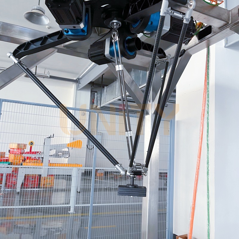 Fully Automatic Case Packing Delta Robot for Pouches 