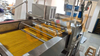 Physalis peeling machine Ground cherry peeling machine Cape gooseberry peeling machine Chinese lantern