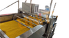 Physalis pagbabalat machine Ground cherry pagbabalat machine Cape gooseberry pagbabalat machine Chinese parol